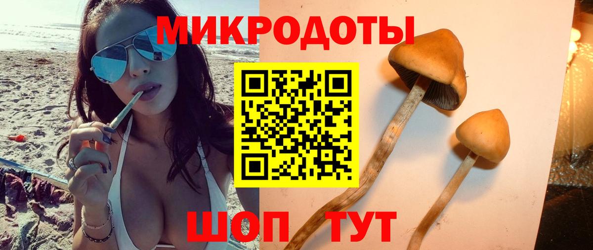Галлюциногенные грибы MAGIC MUSHROOMS Петропавловск-Камчатский